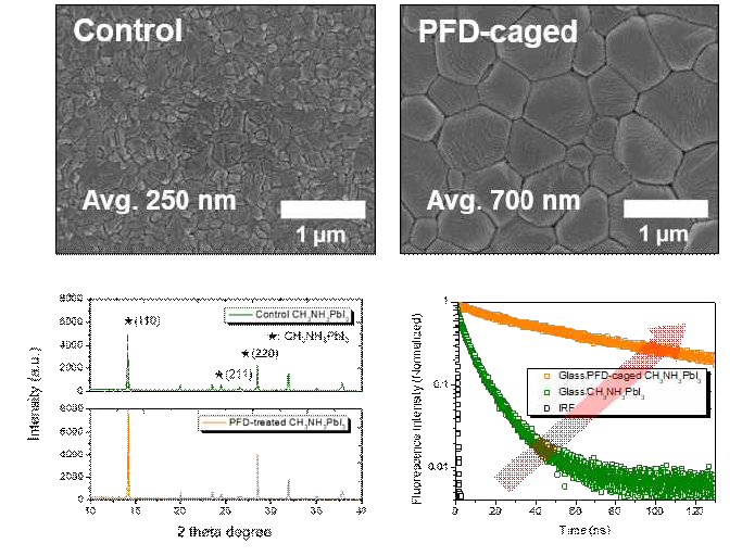 제조한 페로브스카이트 필름 표면의 SEM 사진 및 XRD, 시분해 광루미네센스 측정 결과