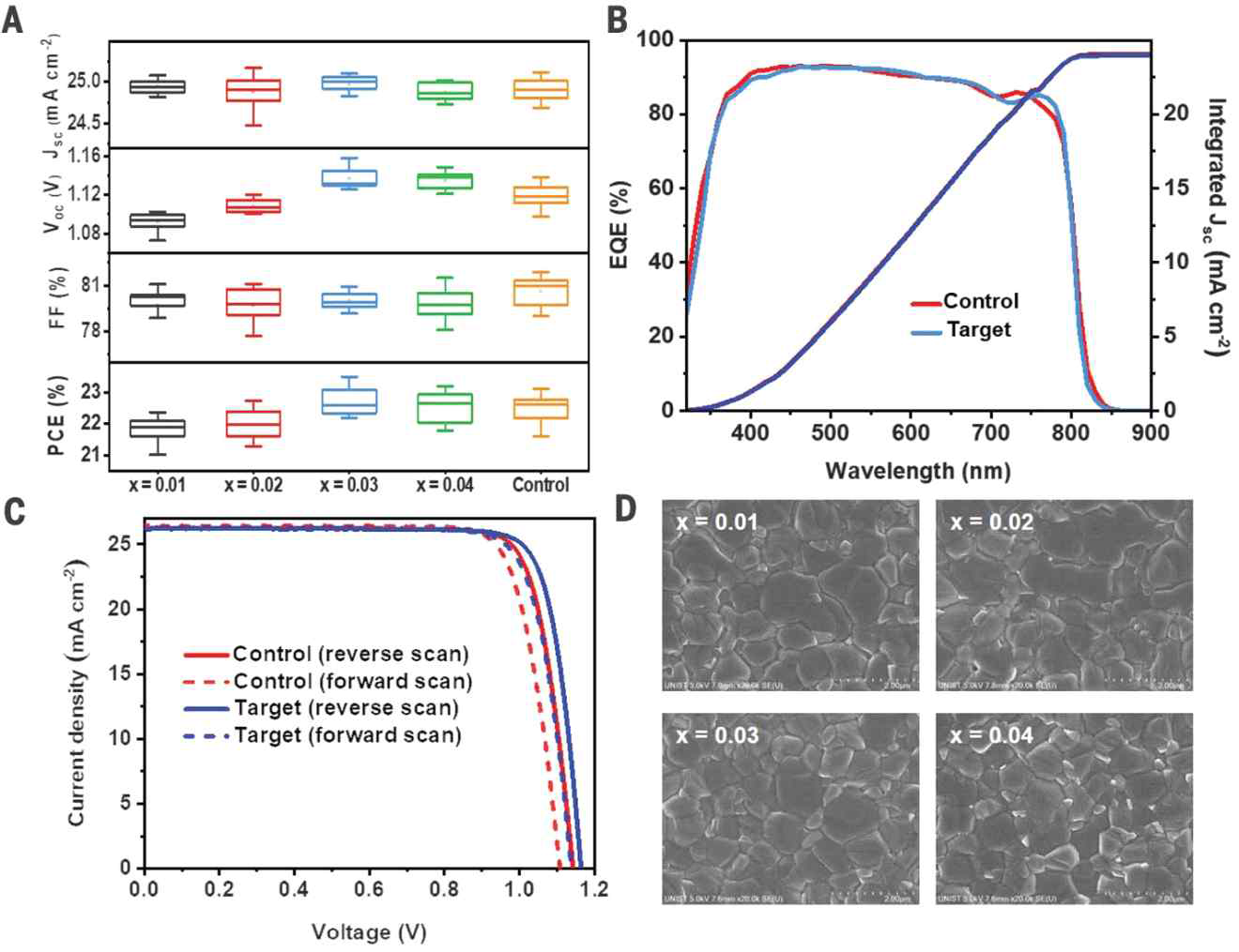 Control 조건과 (FAPbI3)1-x(MC)x의 x값 변화에 따라 제작된 페로브스카이트 박막 표면 형태학 및 페로브스카이트 태양전지의 성능. (A) 24개 소자에 대한 Jsc, Voc, FF, 그리고 PCE 통계자료. (B) control과 target 페로브스카이트 태양전지의 EQE 곡선. (C) control과 target 페로브스카이트 태양전지의 J-V 곡선. (D) 페로브스카이트 박막의 표면 SEM 이미지