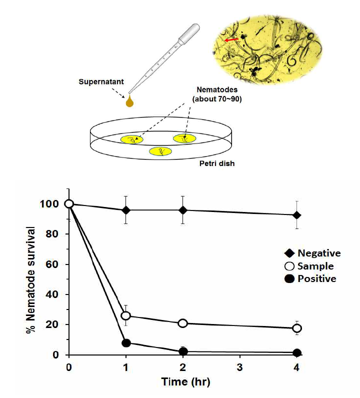 생산된 cinnamaldehyde의 살선충능 분석