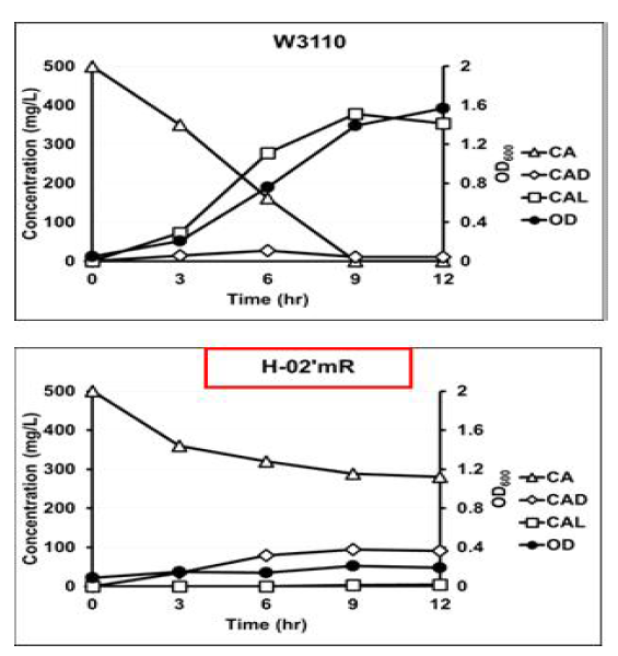 H-02mR 균주를 이용한 CAD 생산