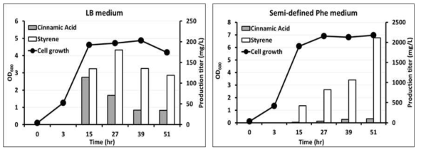 배지 조성에 따른 Styrene 생산성 비교
