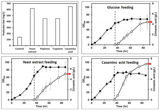 Feeding 조건에 따른 세포 성장 및 Cinnamic acid 생산성 비교