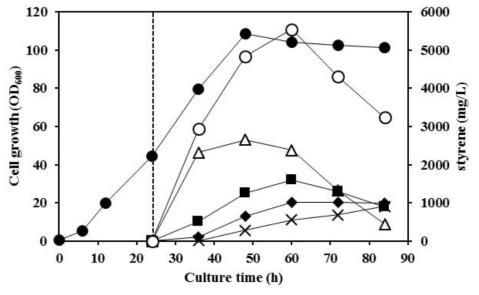 Styrene 생산을 위한 유가식 고농도 배양 결과