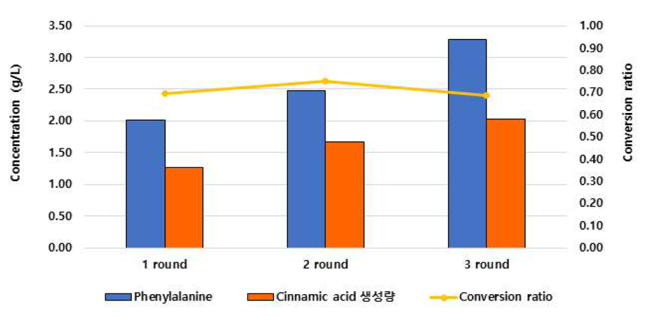 PAL 효소 고정화 기반 페닐알라닌의 cinnamic acid로의 전환