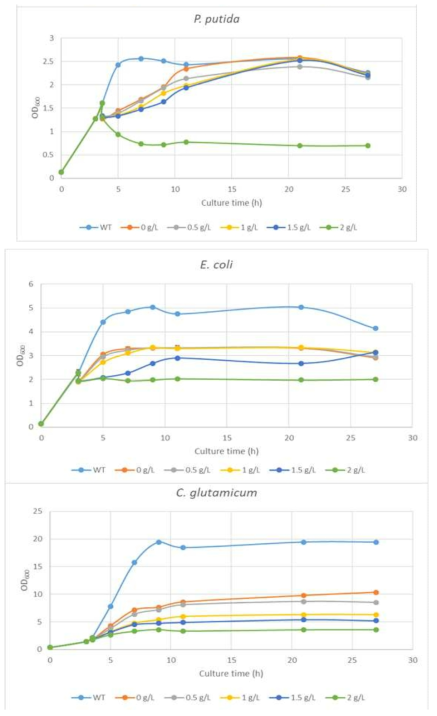 P. putida, E. coli 및 C. glutamicum의 CAD 저항성 비교