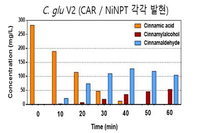 C. glutamicum 기반 cinnamaldehyde 전환율