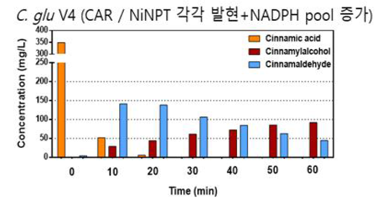 코리네박테리움 기반 Cinnamaldehyde 전환율