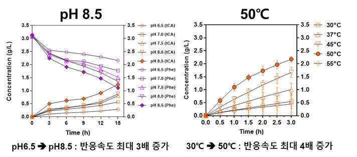 고정화 시스템의 pH 및 온도 최적화