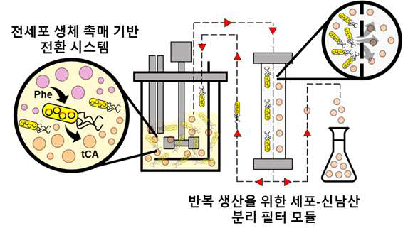 recycle 공정 모식도