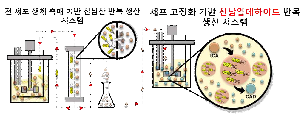 recycle 공정 모식도