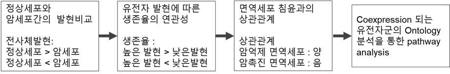 흑색종 면역미세환경 조절 유전자 분석 과정