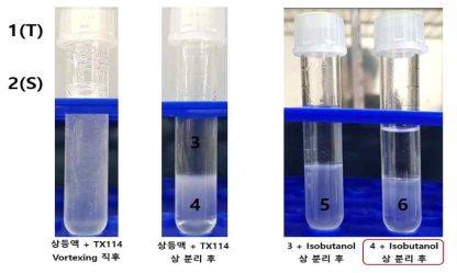 Triton X-114 특성을 이용한 RampDewA(-SS) 이상분리 연구. 1(T) 및 2(S)는 각 각 SDS-PAGE 분석을 위한 total fraction 및 soluble fraction을 나타내기 위해 기재한 것임. 3 및 4는 각각 Triton X-114 혼합 및 상 분리 후 상층부(3) 및 하층부(4), 5는 상층부(3)에 이소부탄올 혼합 및 상 분리 후 하층부, 6은 하층부(4)에 이소부탄올 혼합 및 상 분리 후 하층부임. 하이드로포빈은 하층부(4)에 존재하다가 이소부탄올에 의해 역 추출되어 하층부(6)에 존재할 것으로 예측됨. TX114는 Triton X-114를 의미함