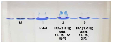 RampDewA(-SS) 정제 샘플의 SDS-PAGE 분석(샘플 로딩 후). M은 Marker, 레인1은 total fraction, 레인 2는 total fraction의 원심분리 후 상등액(SN1)에 이소프로필 알코올 (IPA, 2.5배)을 첨가하고 원심분리 후 수득된 상등액(SN2), 레인 3은 SN2에 IPA(1.0배)를 첨가하고 원심분리 후 수득된 최종 침전을 재현탁한 샘플임