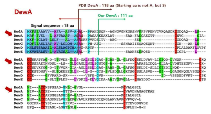 Karlsruhe Institute of Technology (KIT) 연구팀의 연구 결과 (PLOS ONE, 9(4), e94956 (2014), 10.1371/journal.pone.0094546). KIT 연구팀에서는 A. nidulans 유래의 하이드로포빈의 로드릿 형성(rodlet formation)에 대한 연구를 위하여 본 연구팀에서 연구 중인 DewA를 비롯하여 총 6종의 하이드로포빈에 대한 연구를 수행함