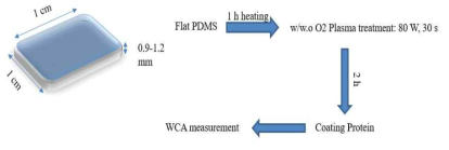 PDMS 샘플 제작부터 WCA 측정까지의 개요. 상기 그림에서 Coating Protein 단계는 산소 플라즈마 처리된 PDMS 상에 동일한 절차로 하이드로포빈 DewA와 BSA를 코팅함
