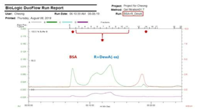 BSA와 RampDewA(-SS)의 혼합 용액을 로딩한 GPC 결과