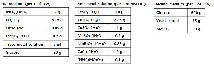 펩타이드 대량생산을 위한 배지 조성