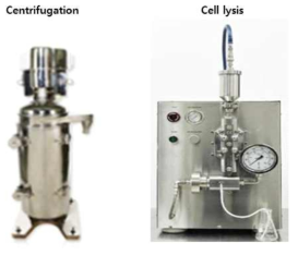 펩타이드 정제용 세포 원심 분리 및 파쇄 장치