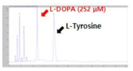 HPLC 분석