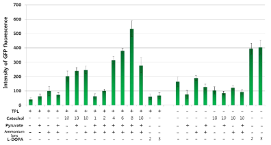 TPL에 의한 DOPA 생합성 시스템을 사용하여 다양한 조건에서의 도입 효율성 비교실험. GFP-E90TAG를 발현하여 형광을 통해 확인함