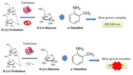 Trehalase inhibition assay 에 의한 DNJ 검출