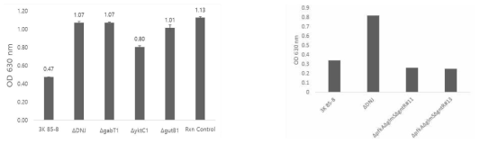 DNJ 생산량 감소 (좌) 및 증가 (우) 변이체의 TRI 활성 분석