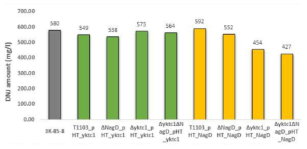 DNJ 생합성 유전자 삽입 균주의 DNJ 생산량 비교