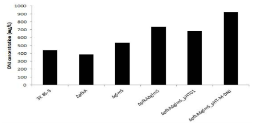 DNJ 생합성 유전자 삽입 균주의 DNJ 생산량 비교