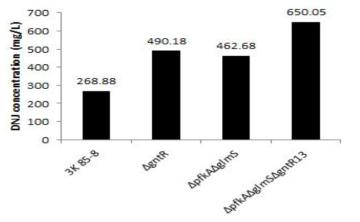 ΔpfkAΔglmSΔgntR 균주의 DNJ 생산량 비교