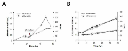 Asparaginase 생산 최적화 배양 조건 탐색