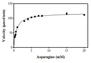 효모 발현숙주에서 생산된 재조합 asparaginase 효소반응속도 측정