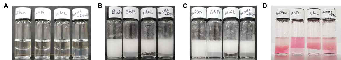 양기능성 단백질의 oil-in-water emulsion 형성비교. 재조합 하이드로포빈의 양친매적 특성을 이용하여 오일층과 물층에 혼합되어 분리된 하이드로포빈의 양상을 확인함. (A), (B) oil 첨가 후 혼합 전과 후, (C) 5분 경과, (D) ponceau 염료 동시 처리 후 분리된 단백질 관찰. 처리 후 5분이 경과한 후의 결과임