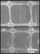 Fig. 5. (a) as-sintered, (b) 개질실험 후 모노리스 기반 촉매체 단면 SEM 이미지