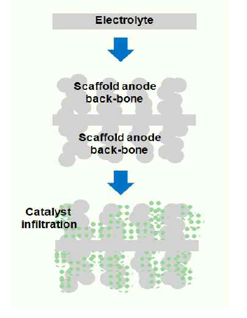 Fabrication of scaffold type anode