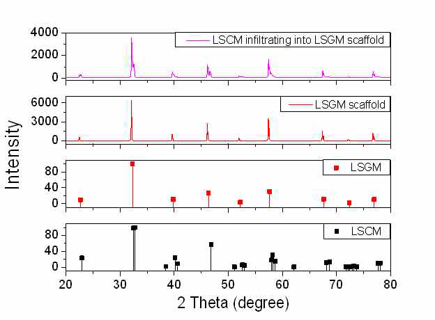 scaffold type 연료극 XRD 분석
