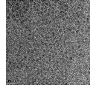 합성된 은 나노 입자의 TEM 이미지