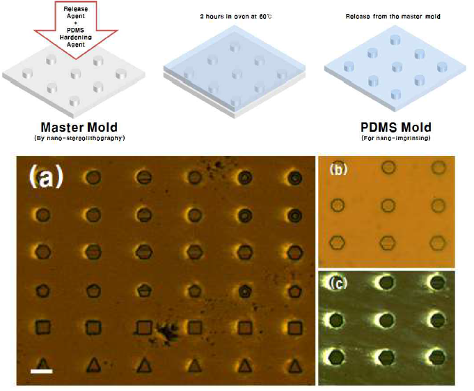 PDMS 몰드 제작 과정과 복제된 mold 모습