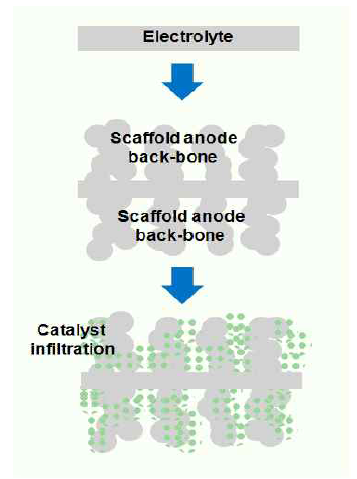 Scaffold type 전극 공정