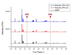GNP-Pechini에 따른 NNO-1 XRD 결과