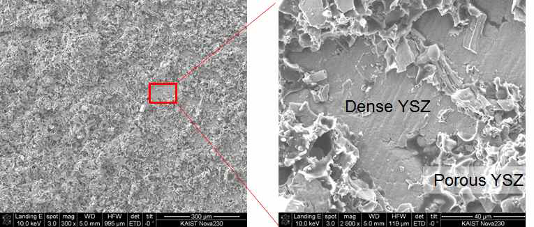 Circular type DCB test 후 SEM 관찰 사진