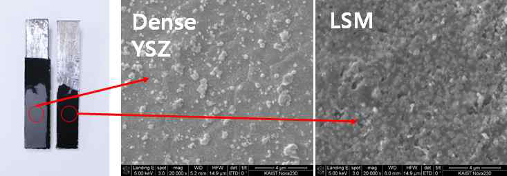 LSM/Dense YSZ 실험 후 SEM 관찰 결과