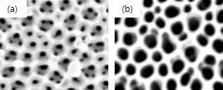 (a) 식각 공정 전과 (b) 공정 후의 기판 표면