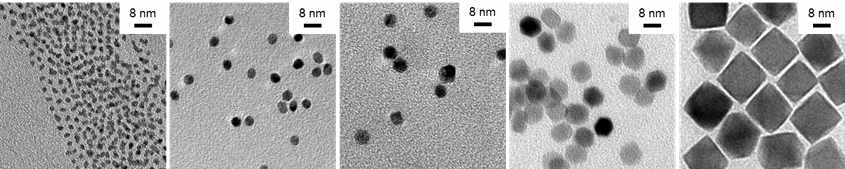 백금나노입자 투과전자현미경 사진. 왼쪽부터 순서대로 2.5나노미터, 5나노미터, 7.5나노미터, 9나노미터, 20나노미터 입자반경