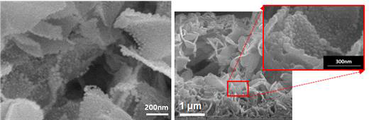 CELD를 통해 증착된 Ni 나노입자가 포함된 다공성 세리아 박막의 표면(좌)와 그 절단면(우)에 대한 SEM 이미지