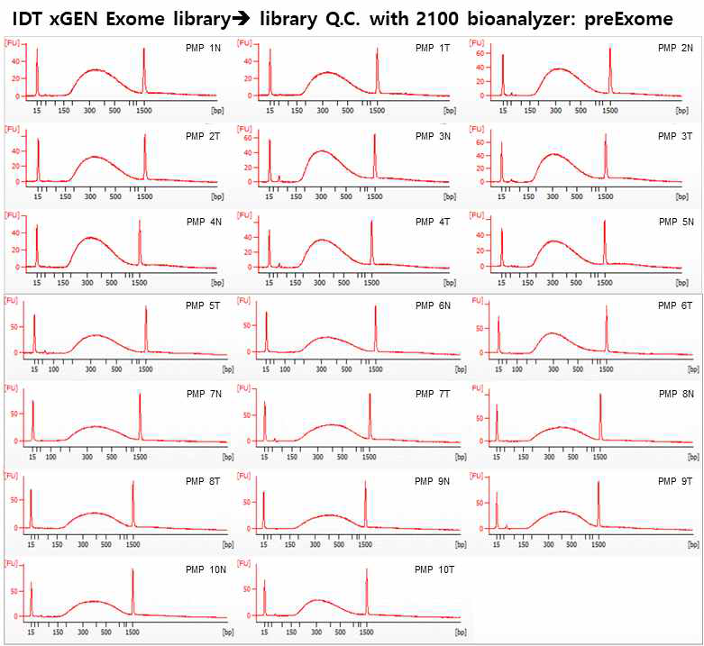 DNA library Quality control