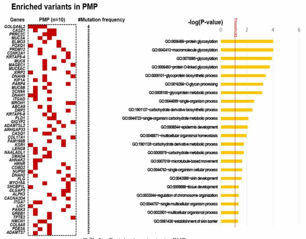 Enriched variants in PMP