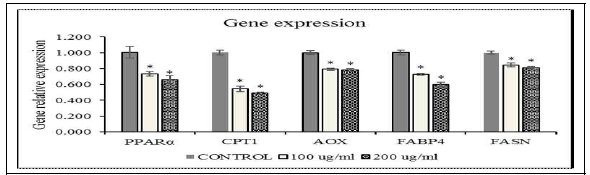 DH5 EPS 처리 후 3T3-L1 cell의 지방합성 및 지방 연소에 관련된 유전자 PPARα, CPT1, AOX, FABP4, and FASN 발현.*P < 0.05