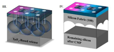 XeF2 가스를 이용한 Silicon Fabric 형성 모식도