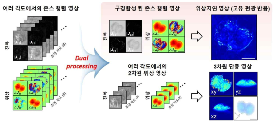 정량적 편광지표 생성을 위한 영상 후처리 과정