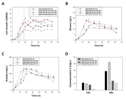 다양한 DO level 조절에 따른 peroxisome 조절 효모의 성장 속도 변화 및 dammarenediol II 생산량 변화